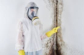 Best Comprehensive Air Testing for Mold Contaminants  in Brooklawn, NJ